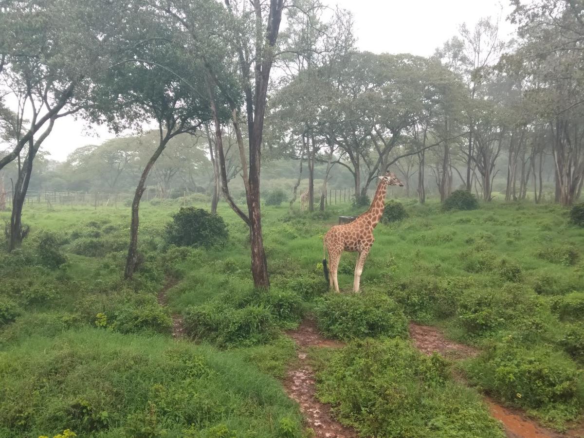 Elimurk Bnb Near Jkia N Sgr Nairobi Buitenkant foto