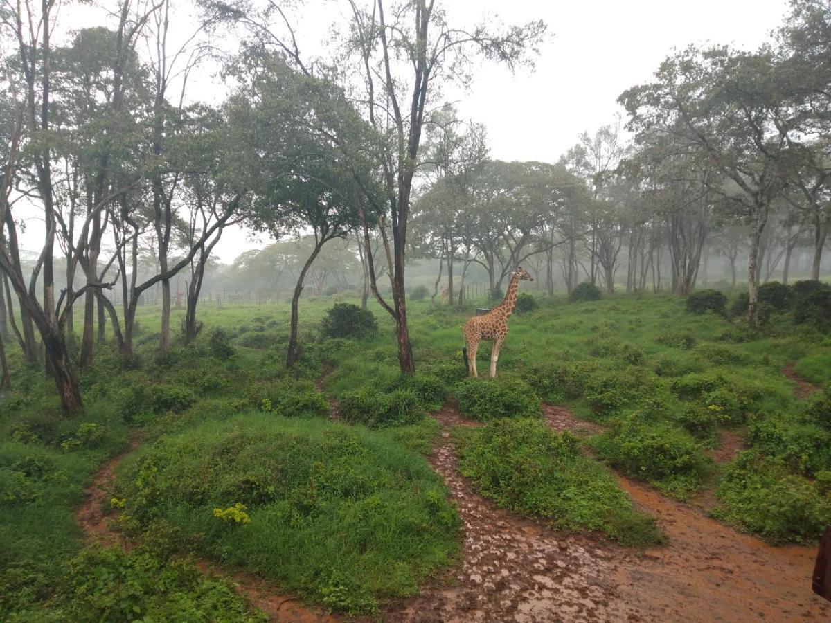 Elimurk Bnb Near Jkia N Sgr Nairobi Buitenkant foto